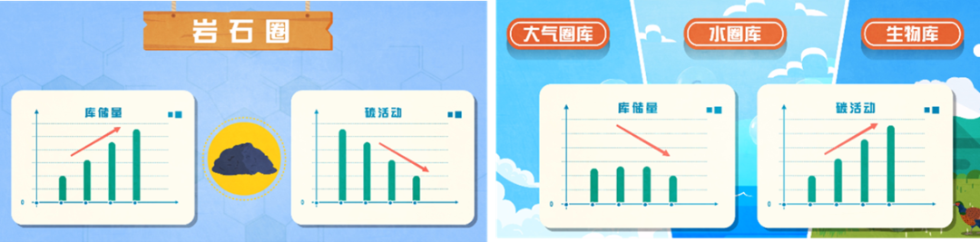 碳源、碳汇是什么？碳又是怎么循环的呢？