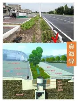 广州市海绵城市建设实践与探索