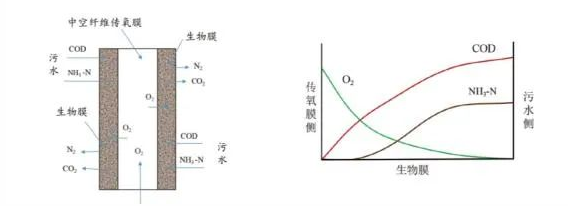 双碳背景下污水处理新工艺——透氧膜生物反应器（MABR）