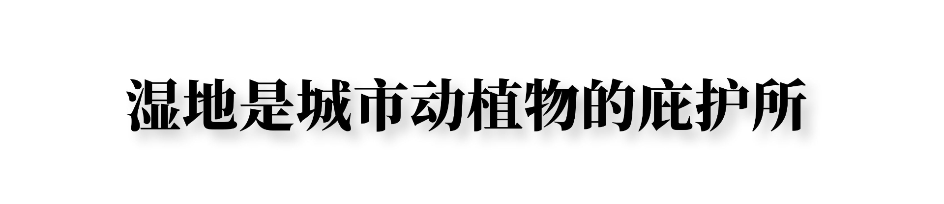 专访李晓文：湿地是城市可持续发展的重要生态基础设施