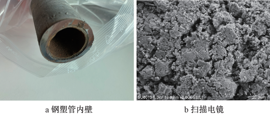 典型小区龙头水水质风险调查及影响因素分析