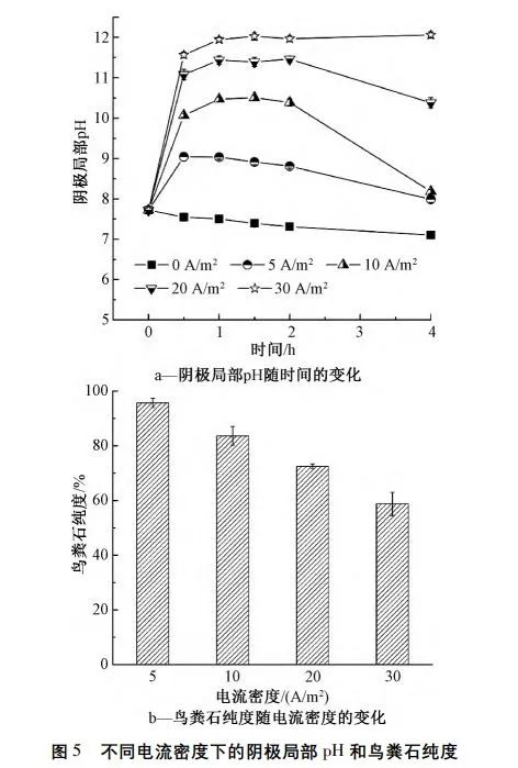 王志伟教授团队：膜过滤耦合电化学强化废水中磷回收效能