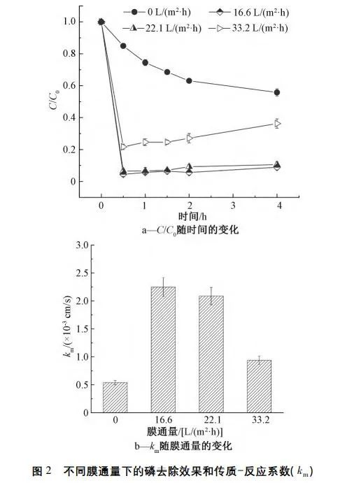 王志伟教授团队：膜过滤耦合电化学强化废水中磷回收效能