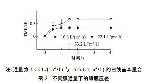 王志伟教授团队：膜过滤耦合电化学强化废水中磷回收效能