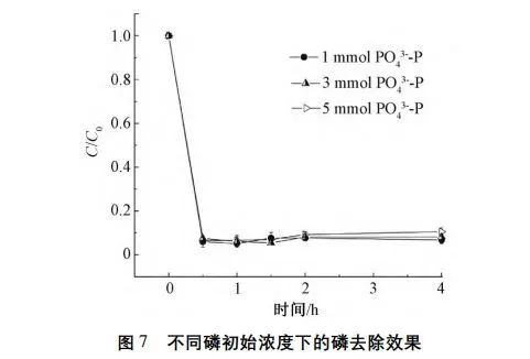 王志伟教授团队：膜过滤耦合电化学强化废水中磷回收效能