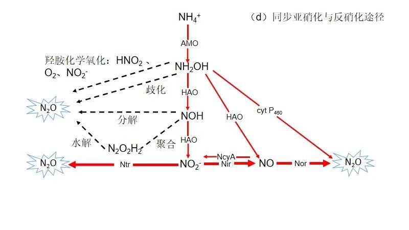 污水处理过程N2O排放：过程机制与控制策略