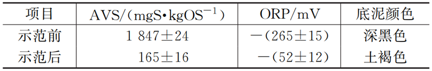 案例：典型黑臭河道精准截排及底泥修复技术应用