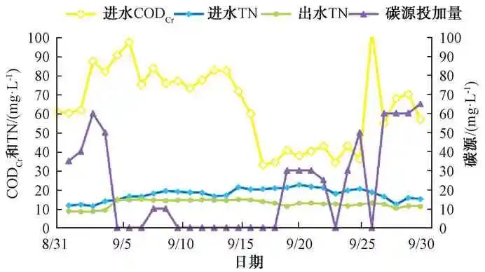 超经济的污水进水低碳氮比总氮应急处理技改实践经验！