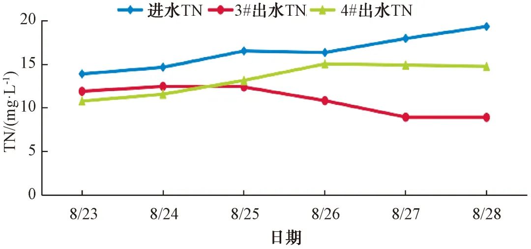 超经济的污水进水低碳氮比总氮应急处理技改实践经验！