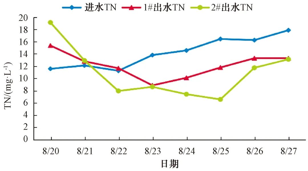 超经济的污水进水低碳氮比总氮应急处理技改实践经验！