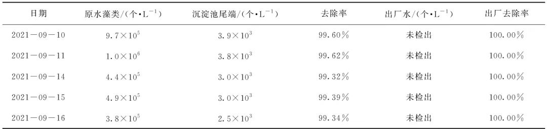 独家经验公开！原水藻类暴发 藻类和致嗅物质的应急处理