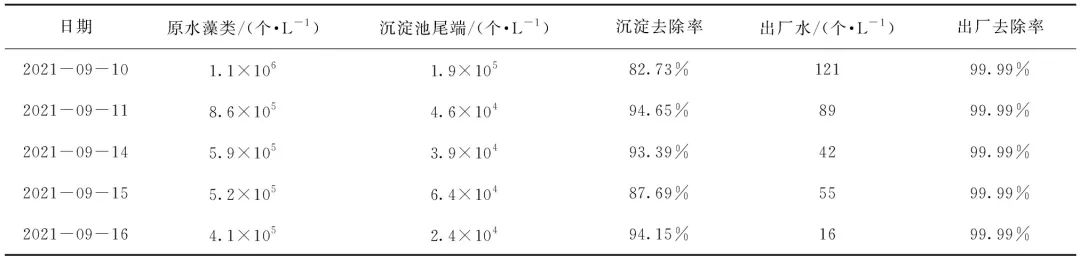 独家经验公开！原水藻类暴发 藻类和致嗅物质的应急处理