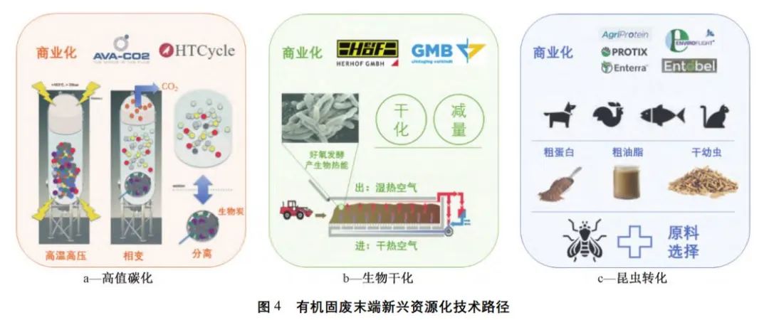 清华大学刘建国教授团队：有机固废沼渣特性及其资源化探究