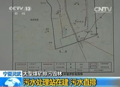 万亩林场主崩溃跪地求供水 多方回应