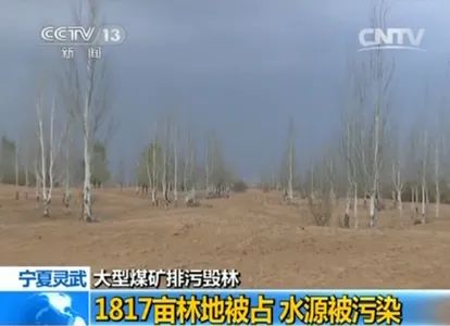 万亩林场主崩溃跪地求供水 多方回应