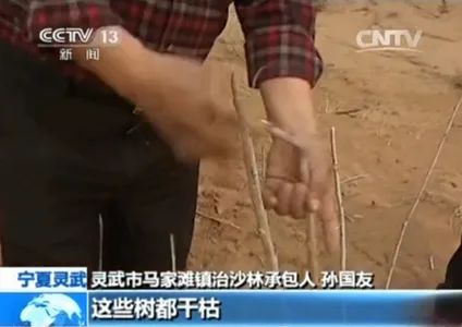 万亩林场主崩溃跪地求供水 多方回应