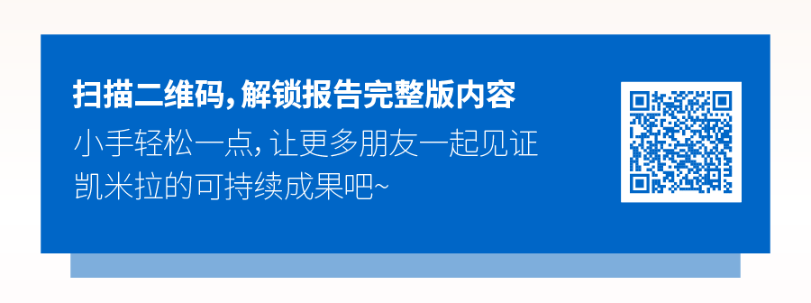 凯米拉Kemira发布2022年业绩报告