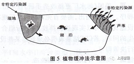 城市小型河流水质直接净化的原理及方法