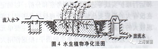 城市小型河流水质直接净化的原理及方法