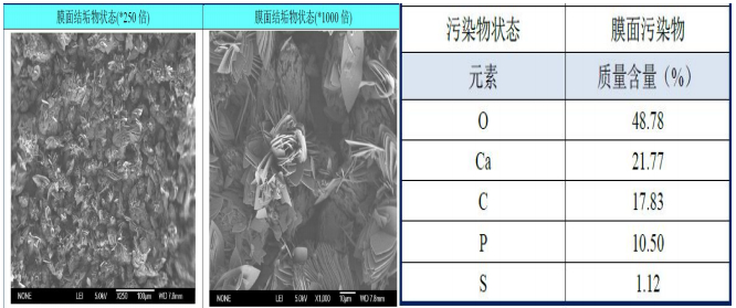 双级联动反渗透系统故障分析