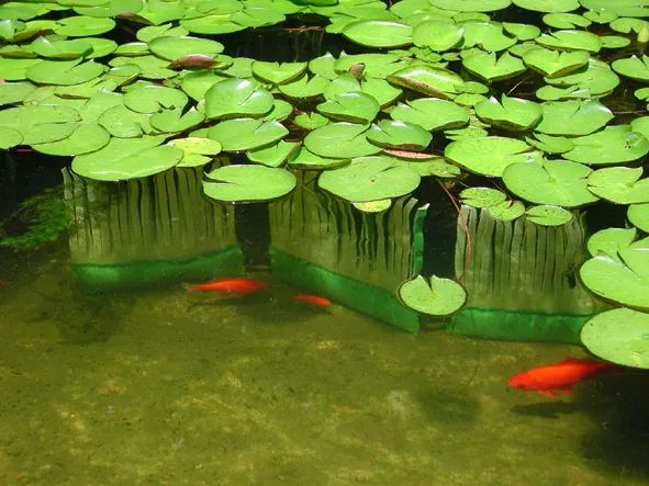 河道湿地生态治理技术大汇总