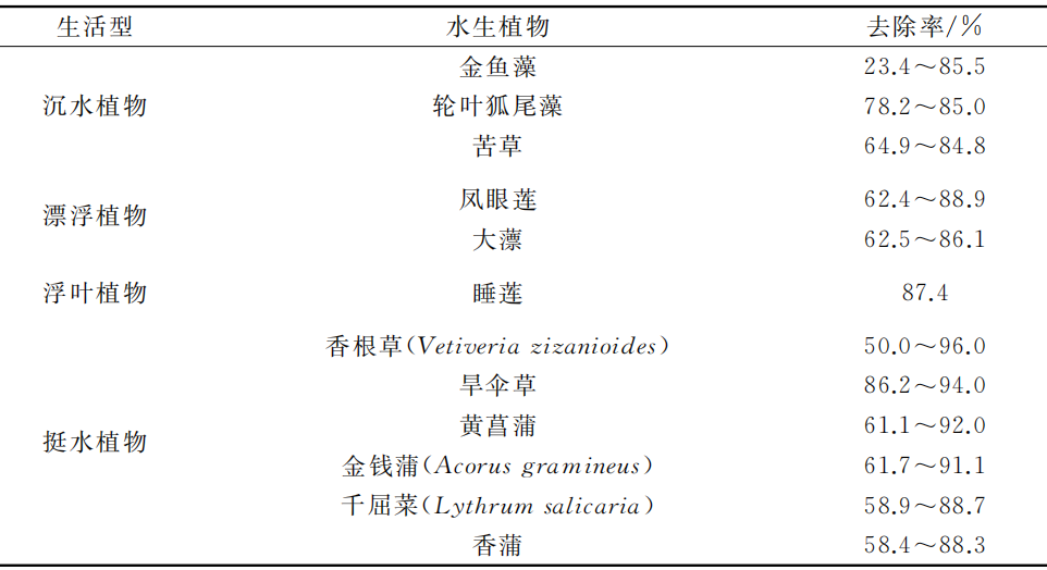 水生态修复植物水质净化能力概述