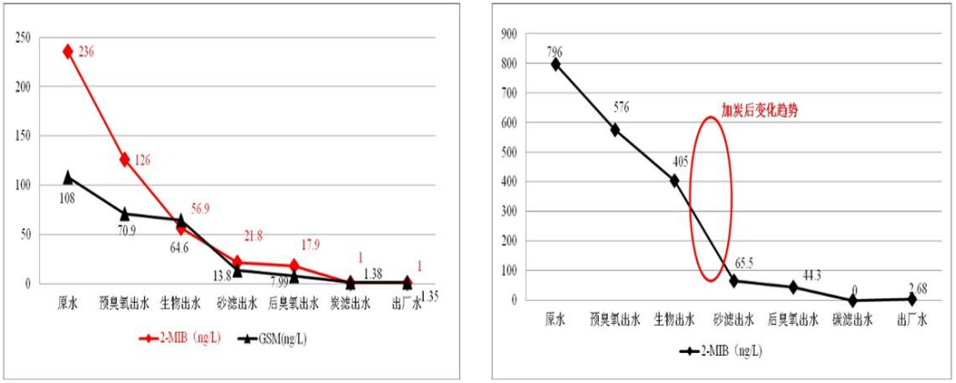 别娜娜：新国标下太湖水源水厂嗅味物质控制技术实践