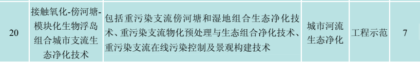 河流水质净化与生态修复——河流人工湿地修复成套技术