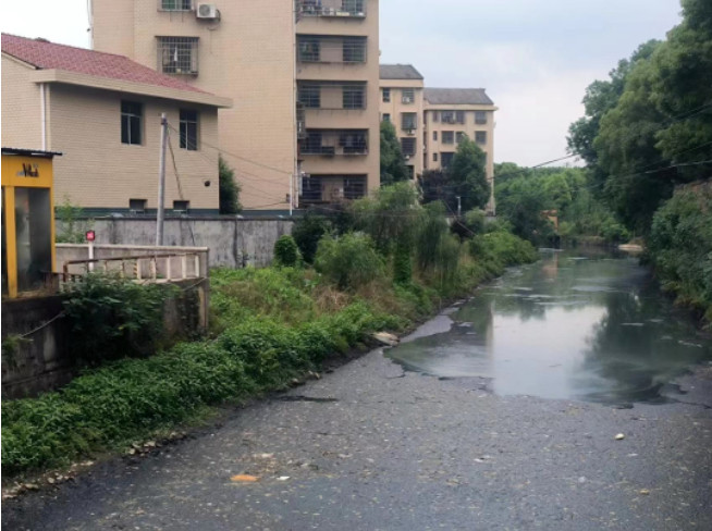 典型案例通报 | 益阳市黑臭水体整治反弹 水体返黑返臭现象突出