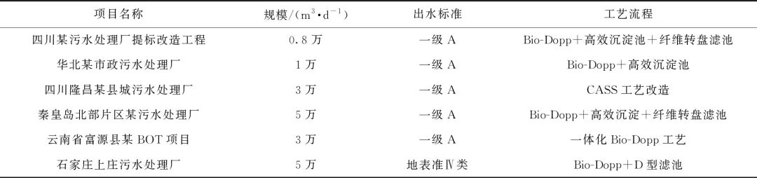 综述：城镇污水厂新兴强化生化处理工艺