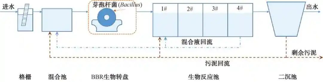 综述：城镇污水厂新兴强化生化处理工艺