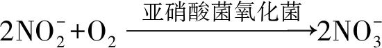 刘成：饮用水中碳酸氢根的意义和控制目标探讨