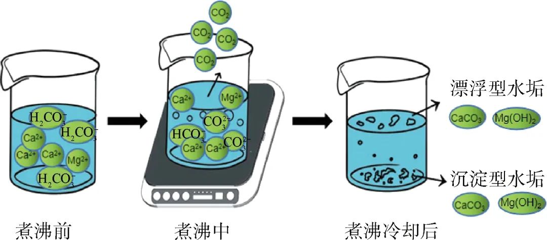 刘成：饮用水中碳酸氢根的意义和控制目标探讨