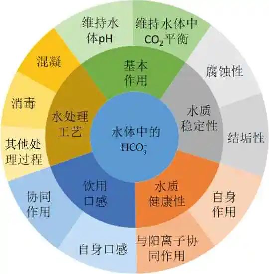 刘成：饮用水中碳酸氢根的意义和控制目标探讨