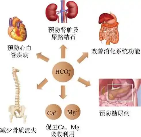 刘成：饮用水中碳酸氢根的意义和控制目标探讨