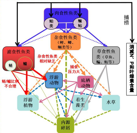 底栖动物在水生态监测与评价中的重要作用