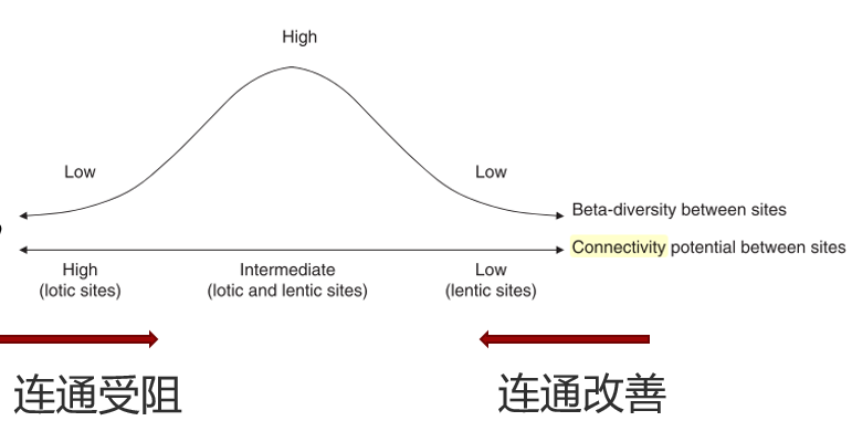 底栖动物在水生态监测与评价中的重要作用