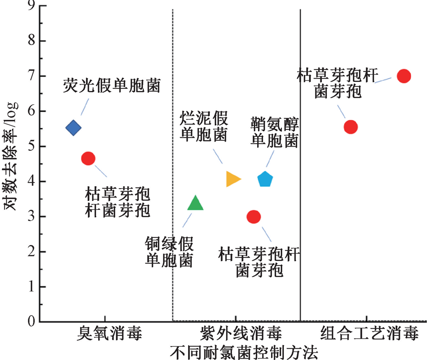 如何控制耐氯菌带来的水质风险