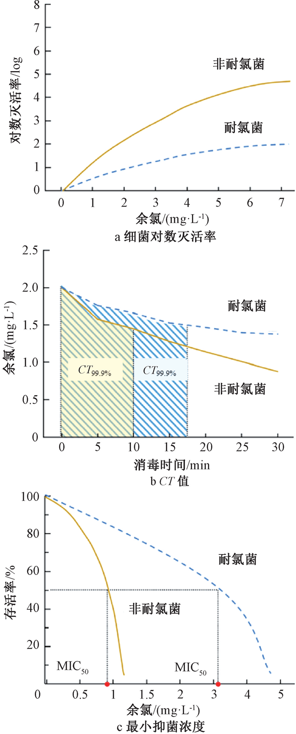 如何控制耐氯菌带来的水质风险