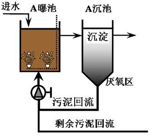 源头减量 过程控制 | 污泥原位减量技术扫描