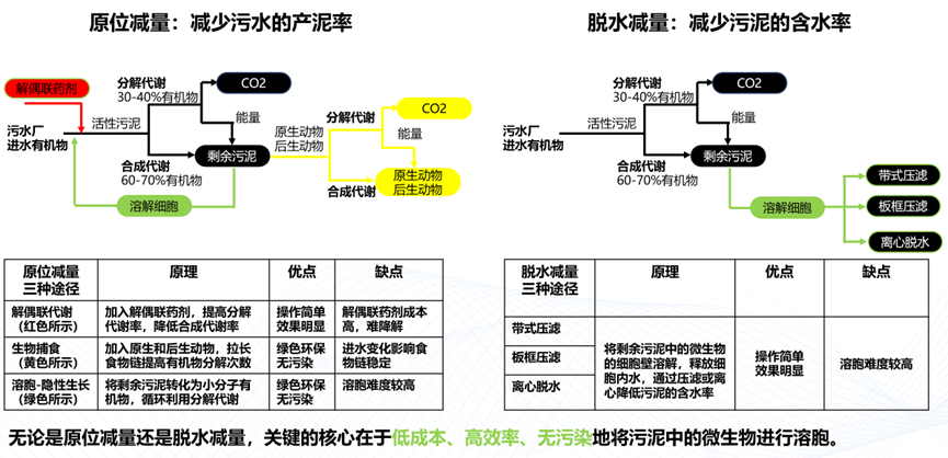 源头减量 过程控制 | 污泥原位减量技术扫描