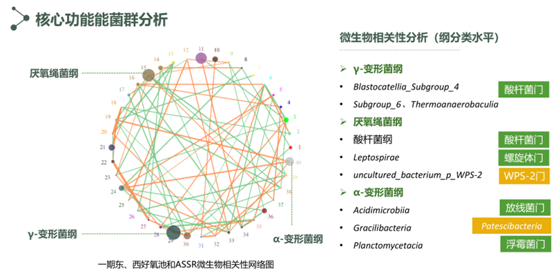 源头减量 过程控制 | 污泥原位减量技术扫描