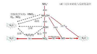 温室气体 | N₂O对水业带来了严重挑战