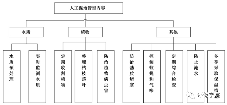 人工湿地常见问题及解决措施