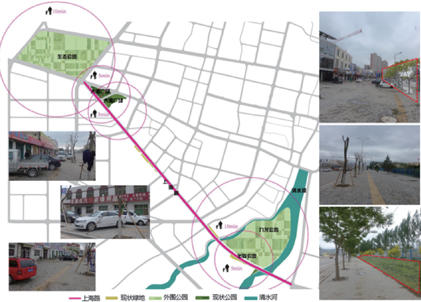 跨专业融合理念在道路海绵化改造中的应用