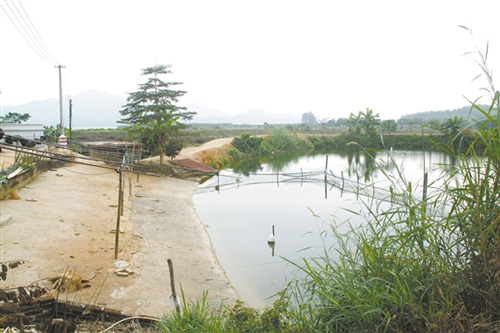 整治跨界河流水库污染 市长:交界处设水质监测点