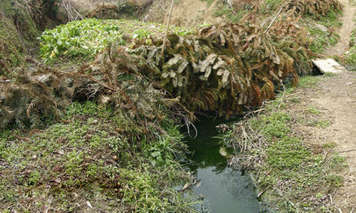 浠水养殖场任性排污 200多村民吃臭水