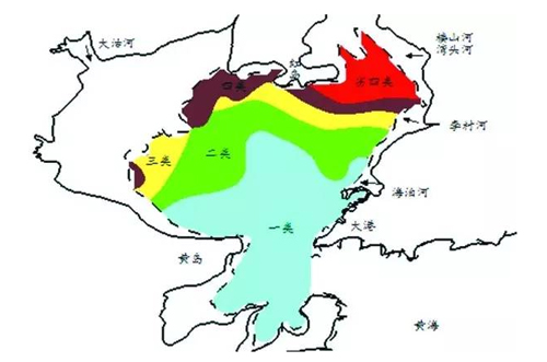 “母亲湾”绽放笑容：青岛胶州湾优良水质面积超6成