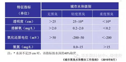 黑臭水体治理的“根本之道”——水体生态系统的重构