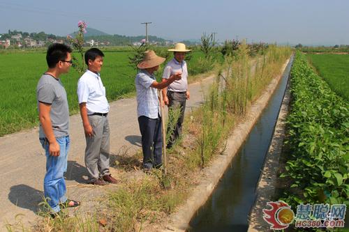 安徽繁昌县：小水利提升 促农民增收